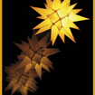 23